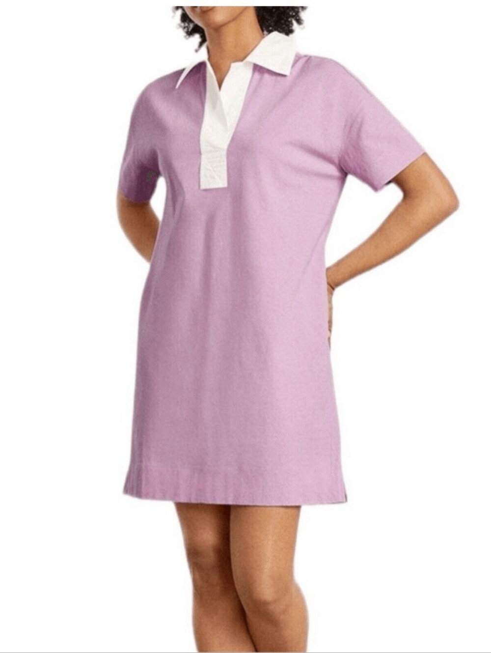Everlane The Organic Cotton Polo Dress